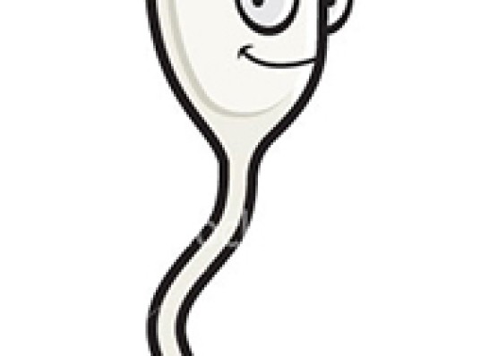 37. De inseminatie