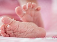 Newborn fotograaf zeeland
