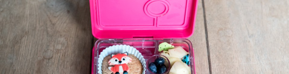 A Bento lunch box – Say what?  