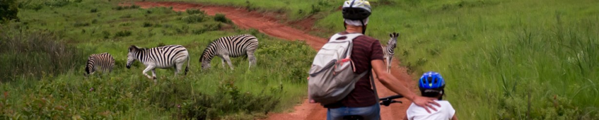 Zuid Afrika en Swaziland (met kids)