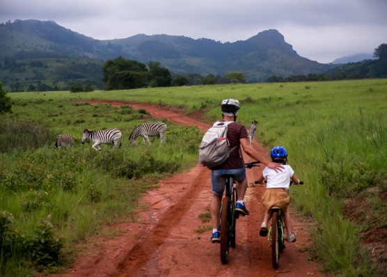 Zuid Afrika en Swaziland (met kids)