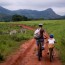 Zuid Afrika en Swaziland (met kids)