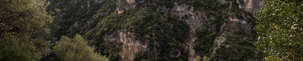 12 daagse rondreis door Andalusië in de winter