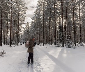 Wintervakantie! Zoals Lapland maar dan goedkoper :-)