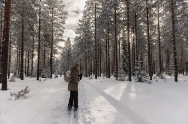 Wintervakantie! Zoals Lapland maar dan goedkoper :-)