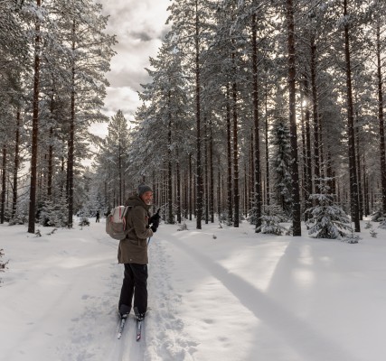 Wintervakantie! Zoals Lapland maar dan goedkoper :-)