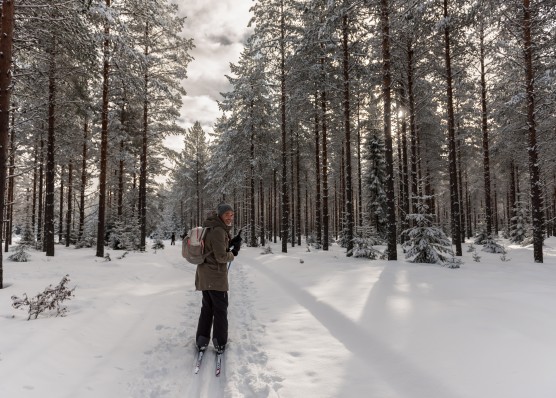 Wintervakantie! Zoals Lapland maar dan goedkoper :-)