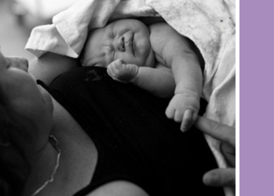 5280 gram Hollands Glorie! – Geboortefotografie